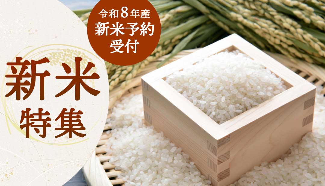 新米特集