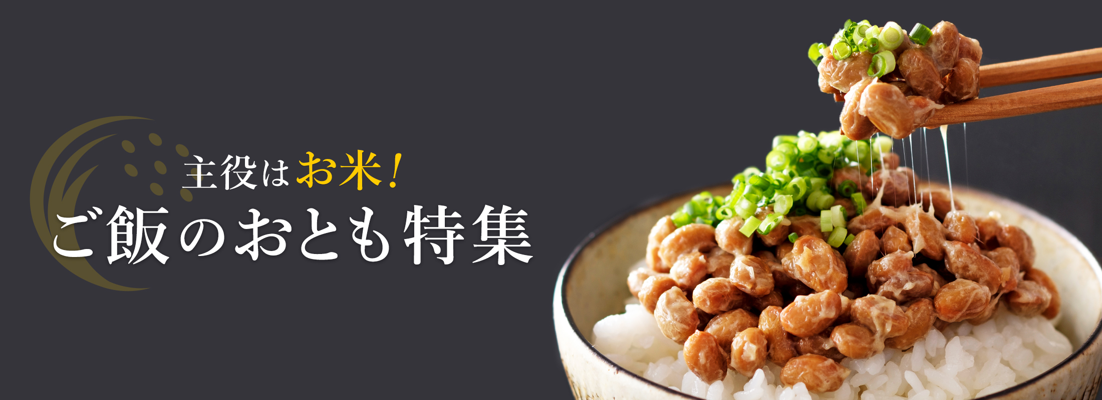 ご飯のおとも特集