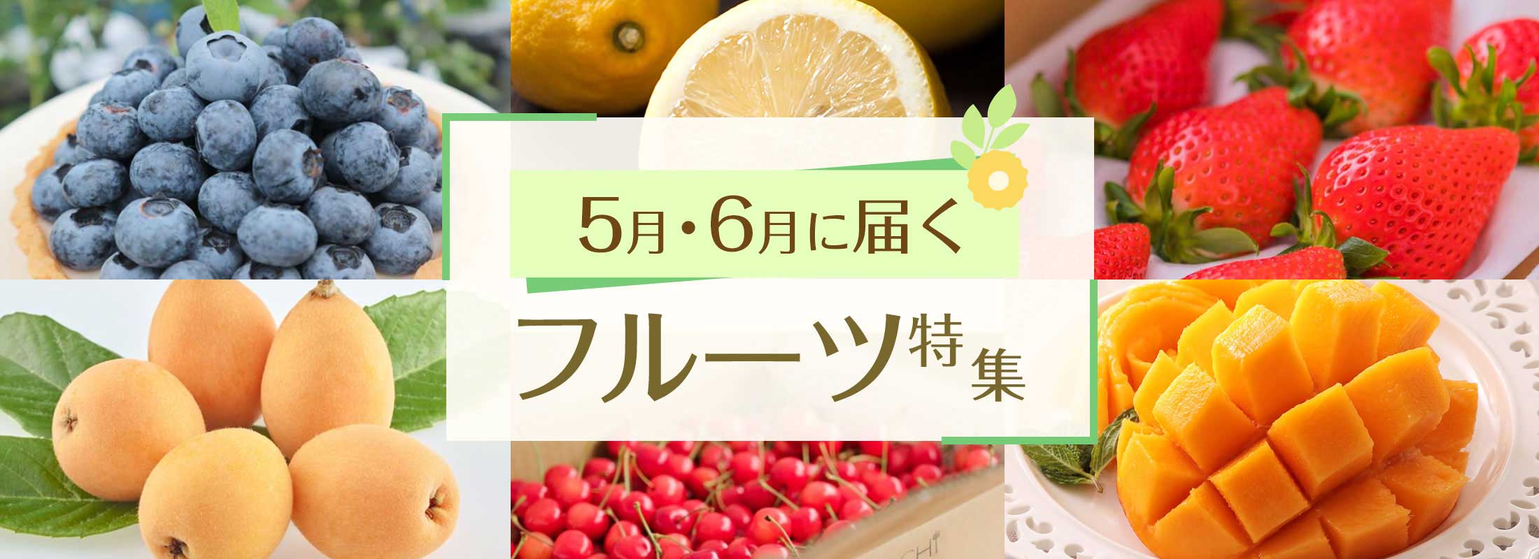 5月・6月に届くフルーツ特集