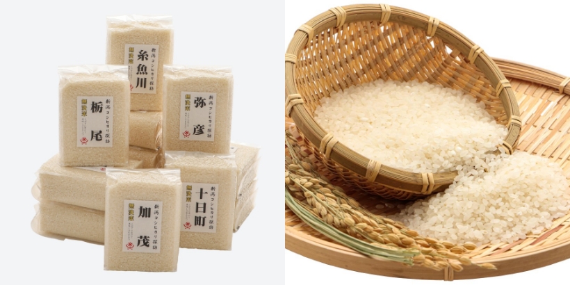 新潟県産無洗米コシヒカリ 産地別食べ比べ 12個入特別セット(新潟伊勢丹限定)