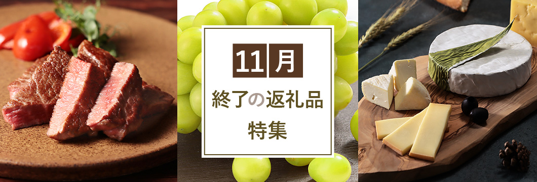 11月終了の返礼品特集