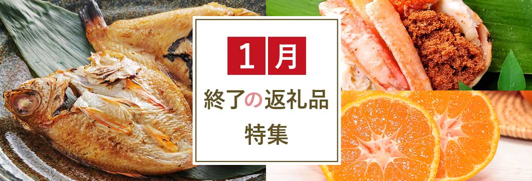 1月終了の返礼品特集