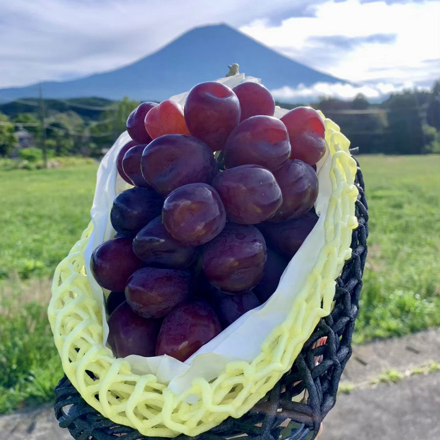 笛吹市産大粒富士の輝き1房800g