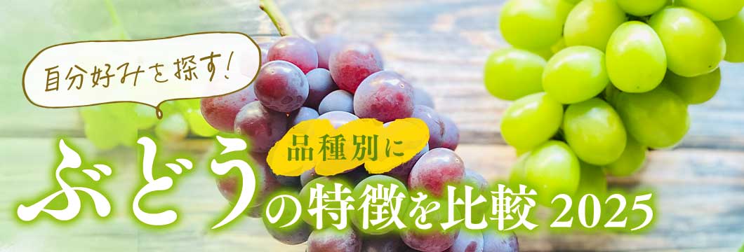 自分好みを探す！品種別にぶどうの特徴を比較2025