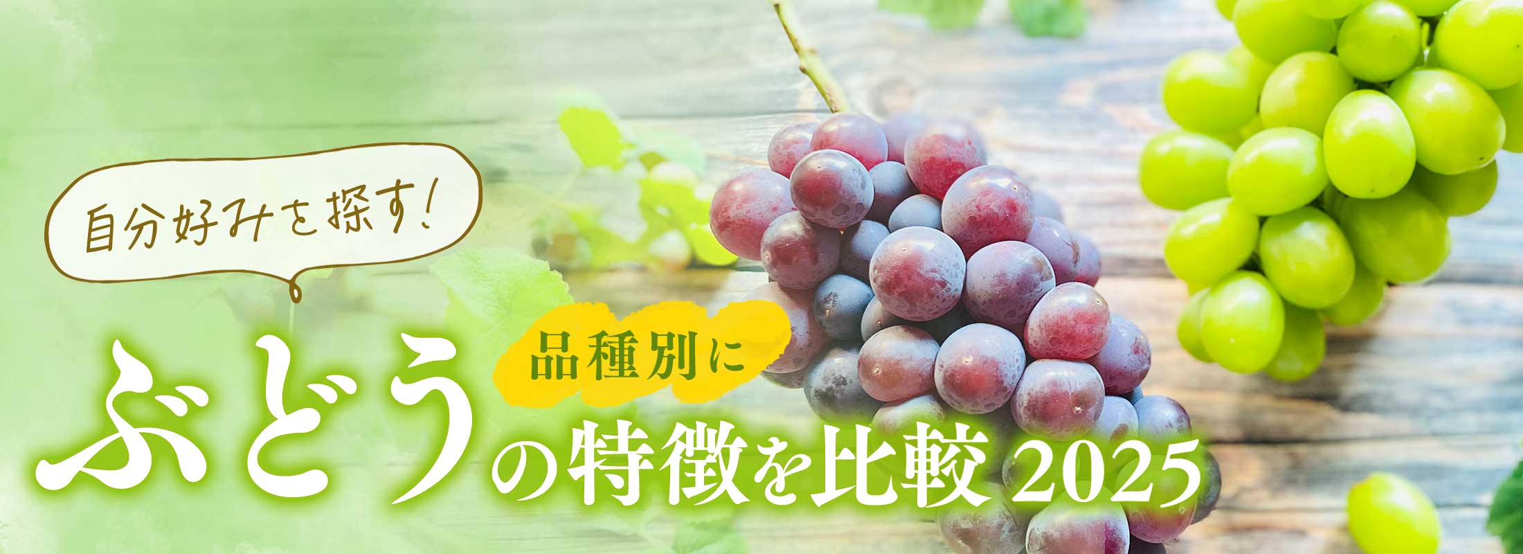 自分好みを探す！ぶどうを品種別に比較 2024