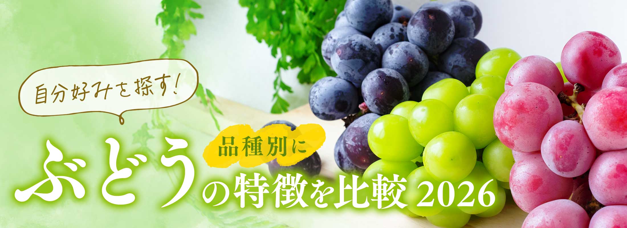 自分好みを探す!ぶどうを品種別に比較 2026