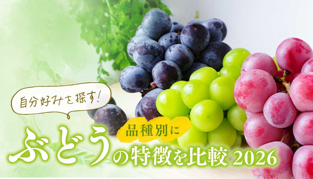 品種別にぶどうの特徴を比較2026