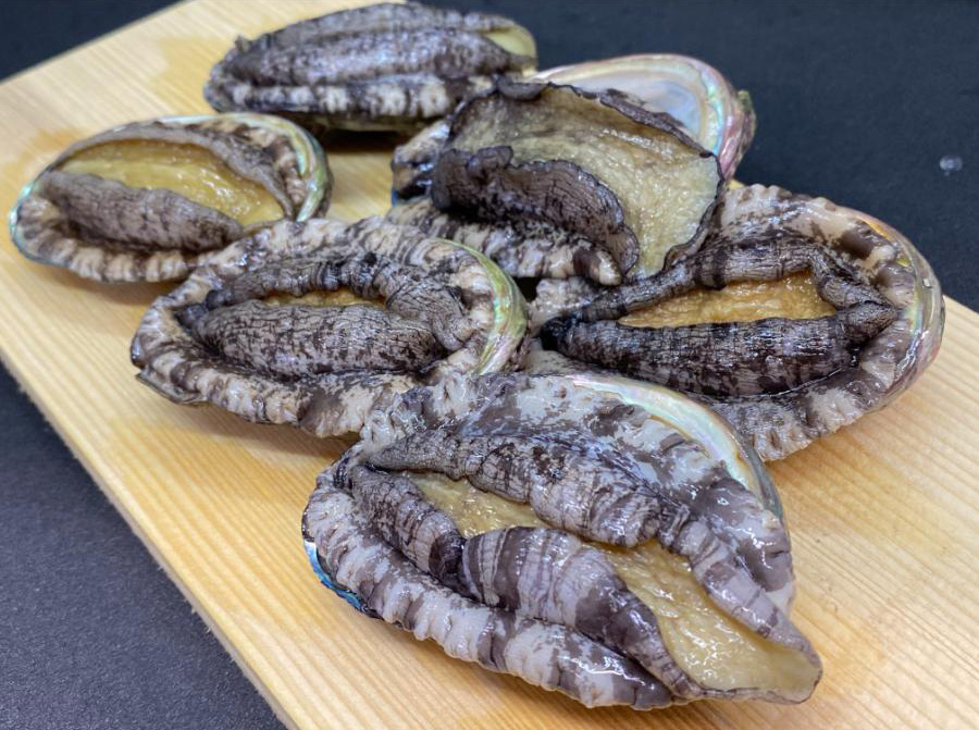 <おらえのごっつお>北海道産海洋牧場育ち 養殖活蝦夷あわび 6.5cm×(12個入り×2袋)