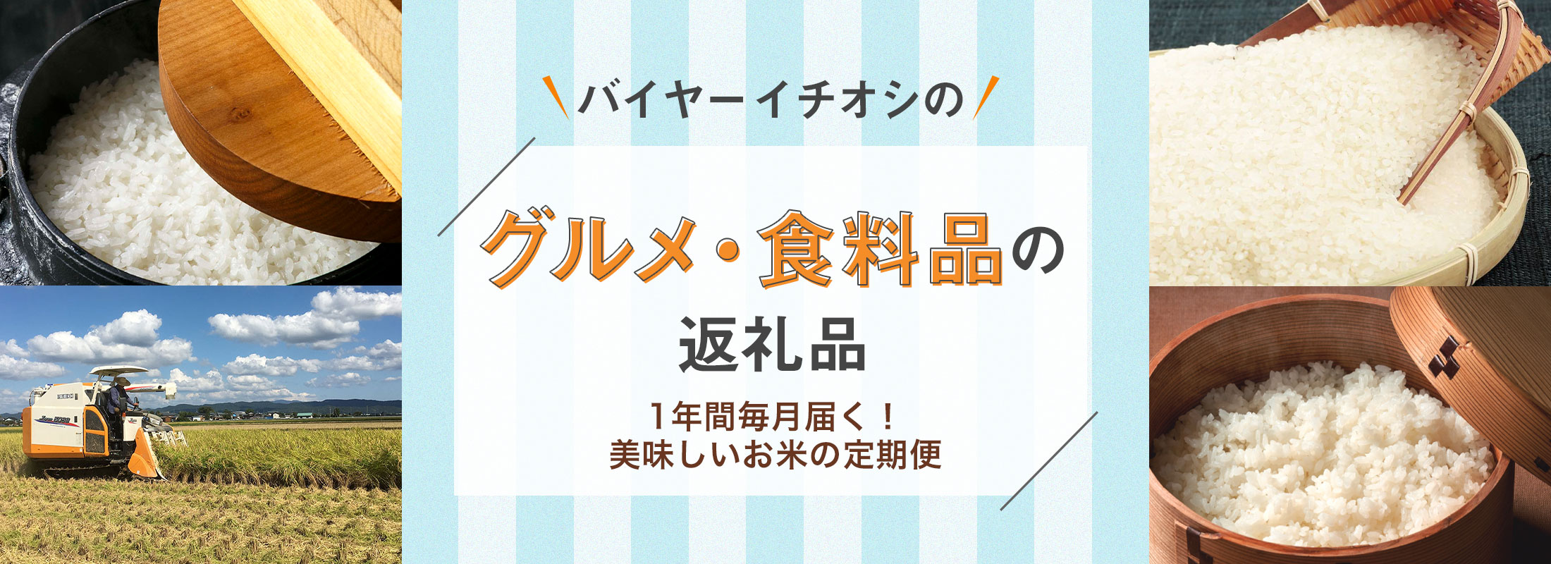 1年間毎月届く！美味しいお米の定期便 | バイヤーイチオシのグルメ・食料品の返礼品