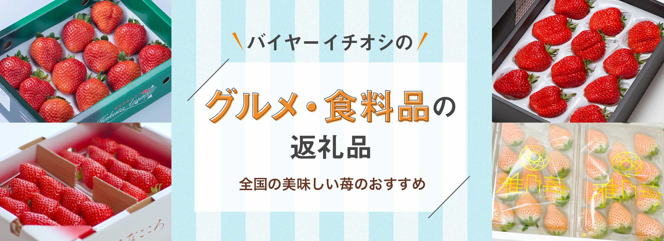 全国の美味しい苺のおすすめ | バイヤーイチオシのグルメ・食料品の返礼品