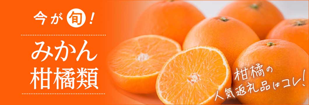 今が旬！みかん・柑橘類