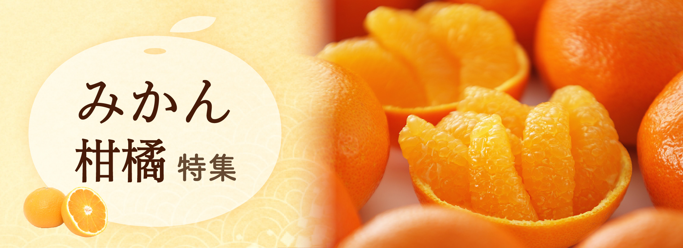 蜜みかん(蜜柑)・柑橘 特集