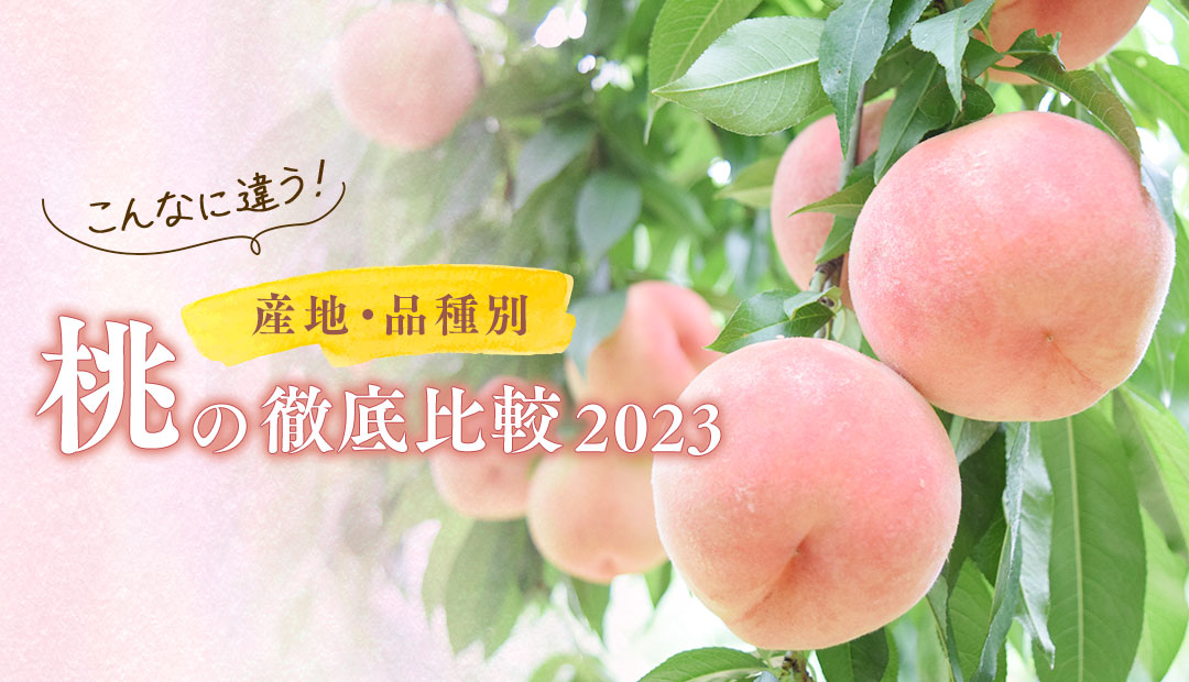 こんなに違う！産地・品種別 桃の徹底比較2023