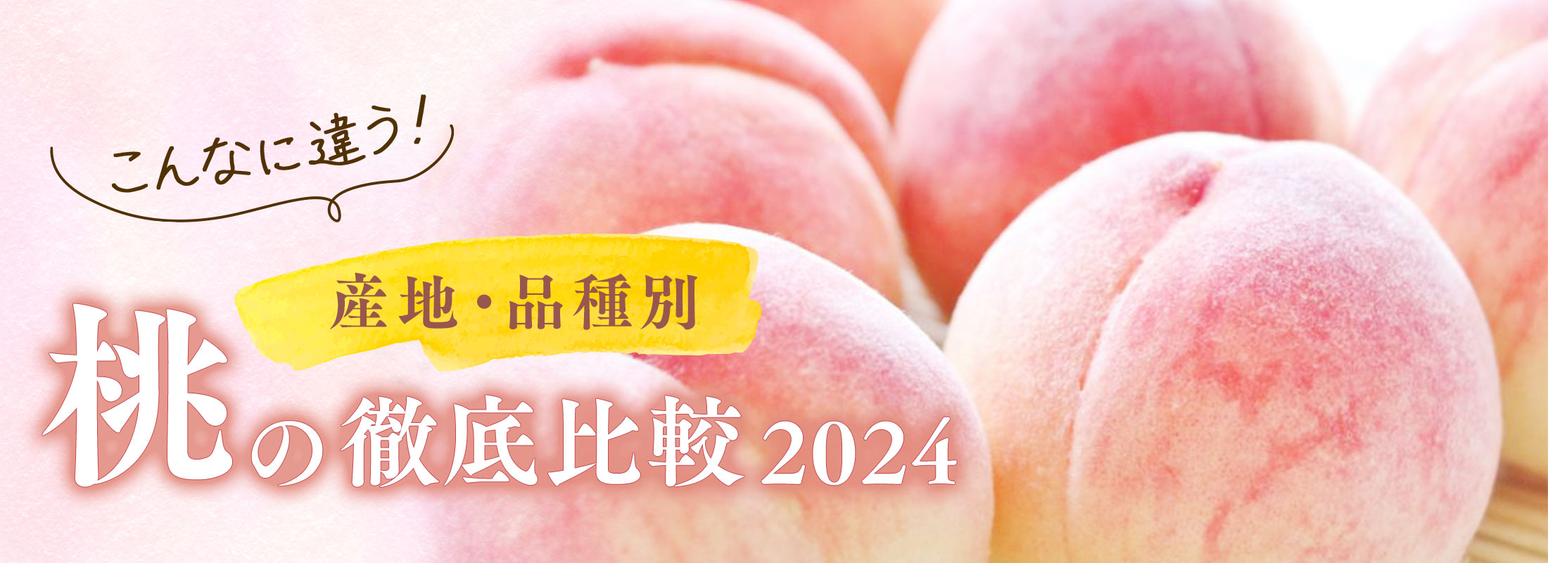 こんなに違う！産地・品種別 桃の徹底比較 2024