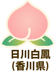 日川白鳳（香川県）