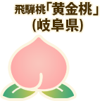 飛騨桃 黄金桃（岐阜県）