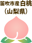 笛吹市産白桃（山梨県）