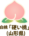 白桃「硬い桃」(山形県)