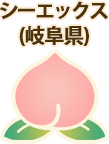 シーエックス(岐阜県)