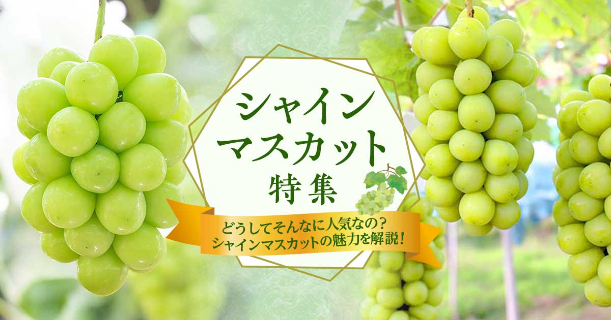シャインマスカット特集 | 特集一覧 | 三越伊勢丹ふるさと納税