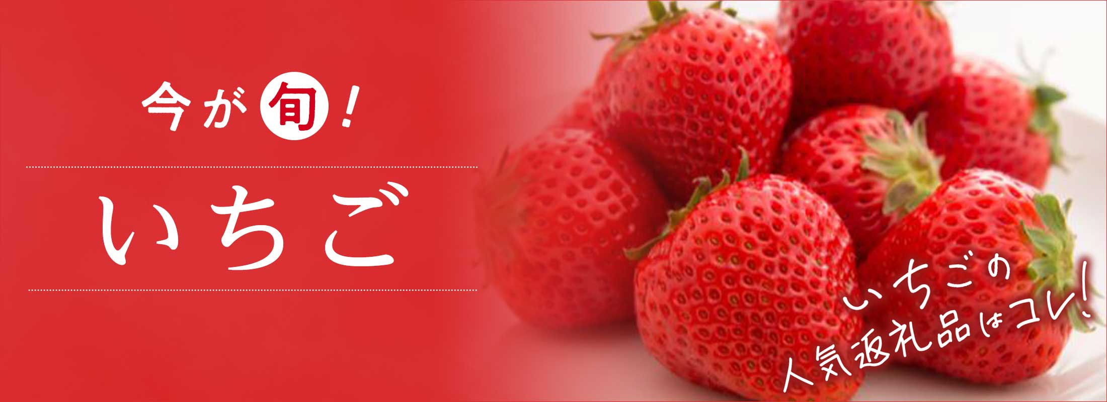 今が旬！いちご いちごの人気返礼品はコレ！