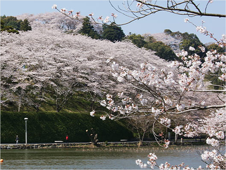 静岡県藤枝市のイメージ