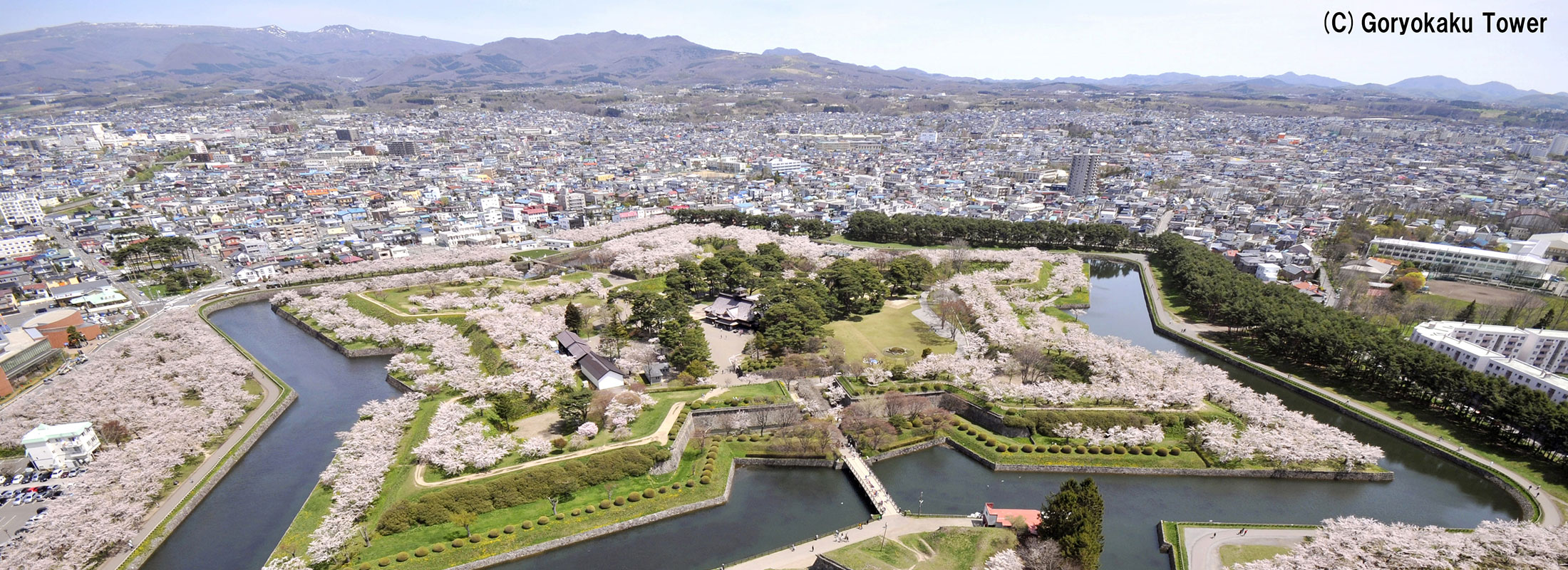 五稜郭公園(春)