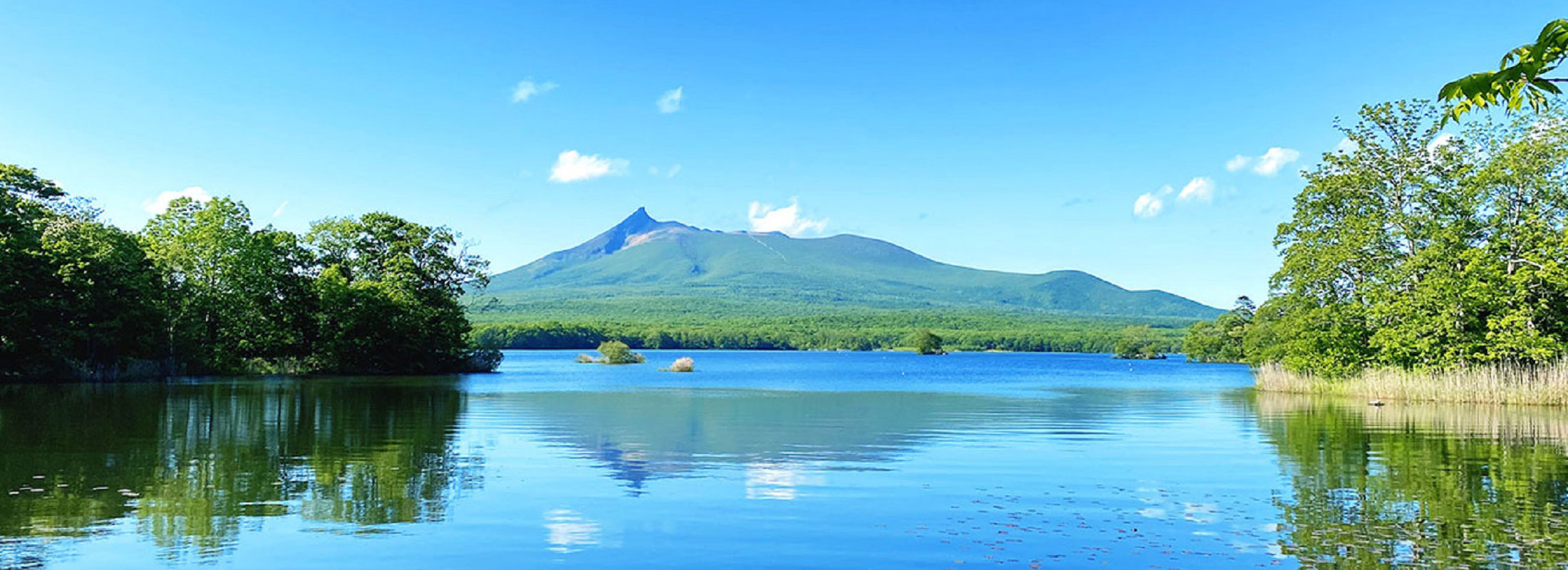 駒ケ岳