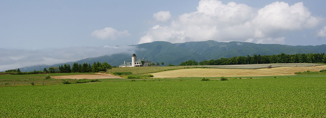 盛夏のトワ・ヴェール