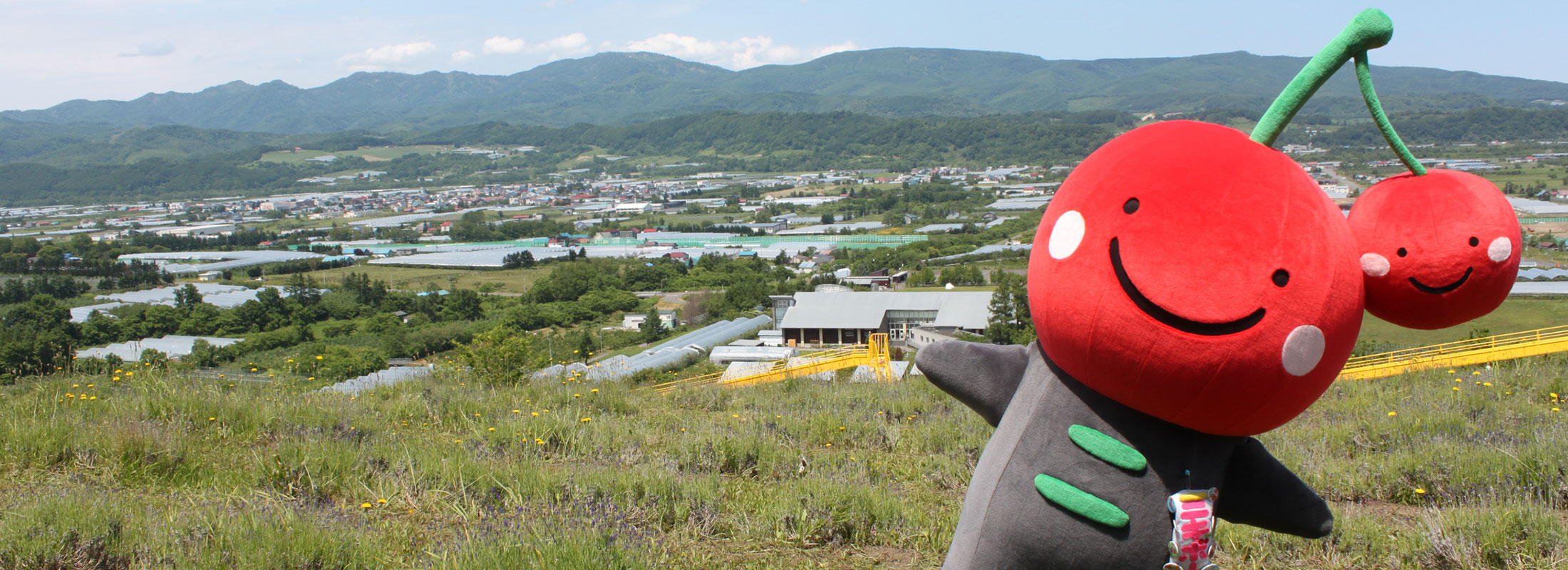 ニキボー®(イメージキャラクター)