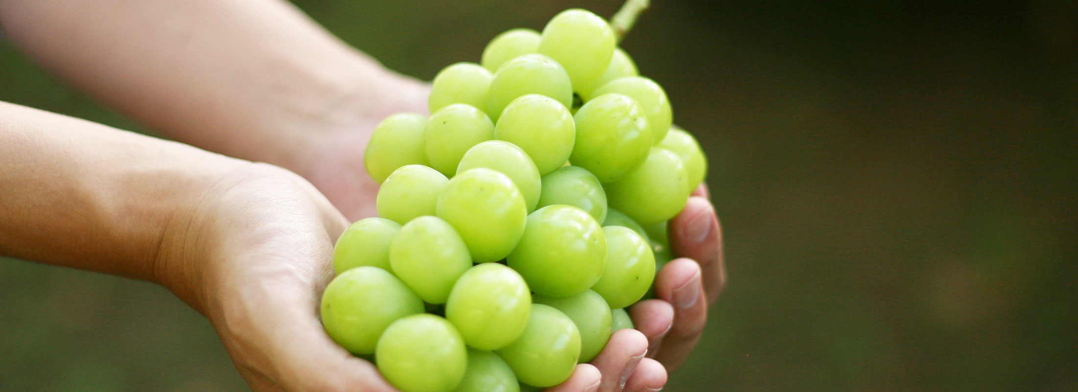 ラ・ラ・シャイン®