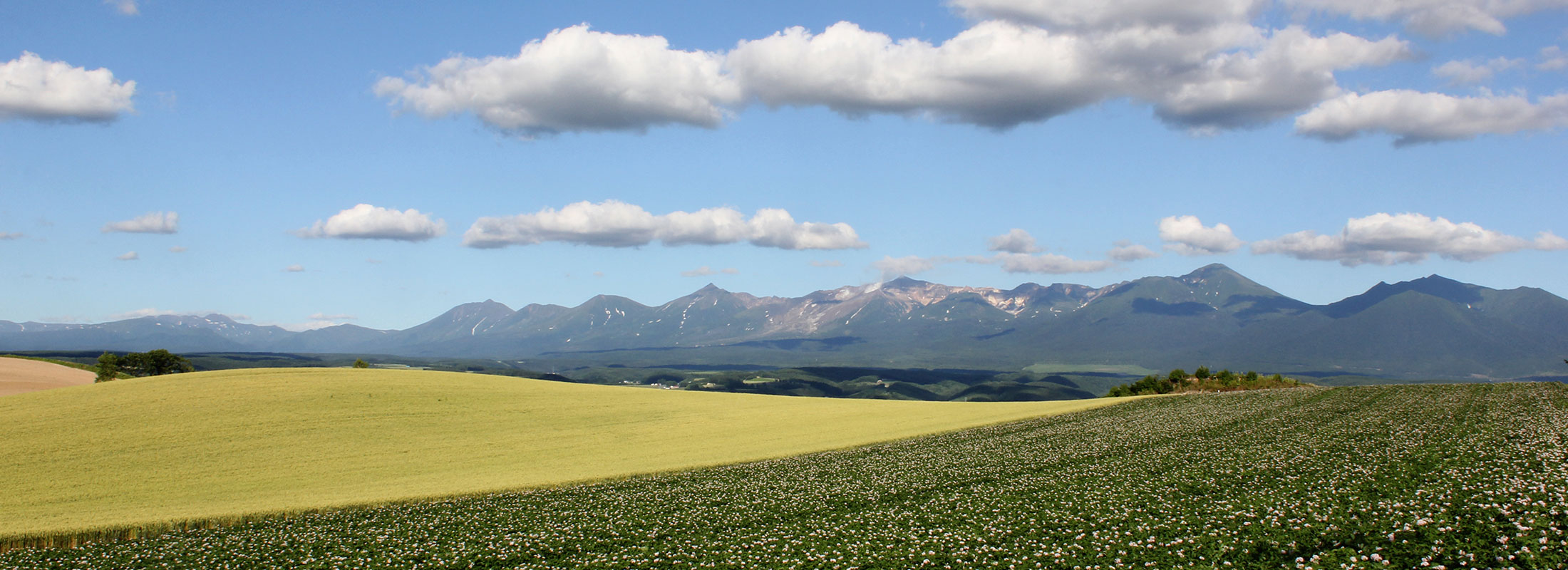 夏の十勝岳