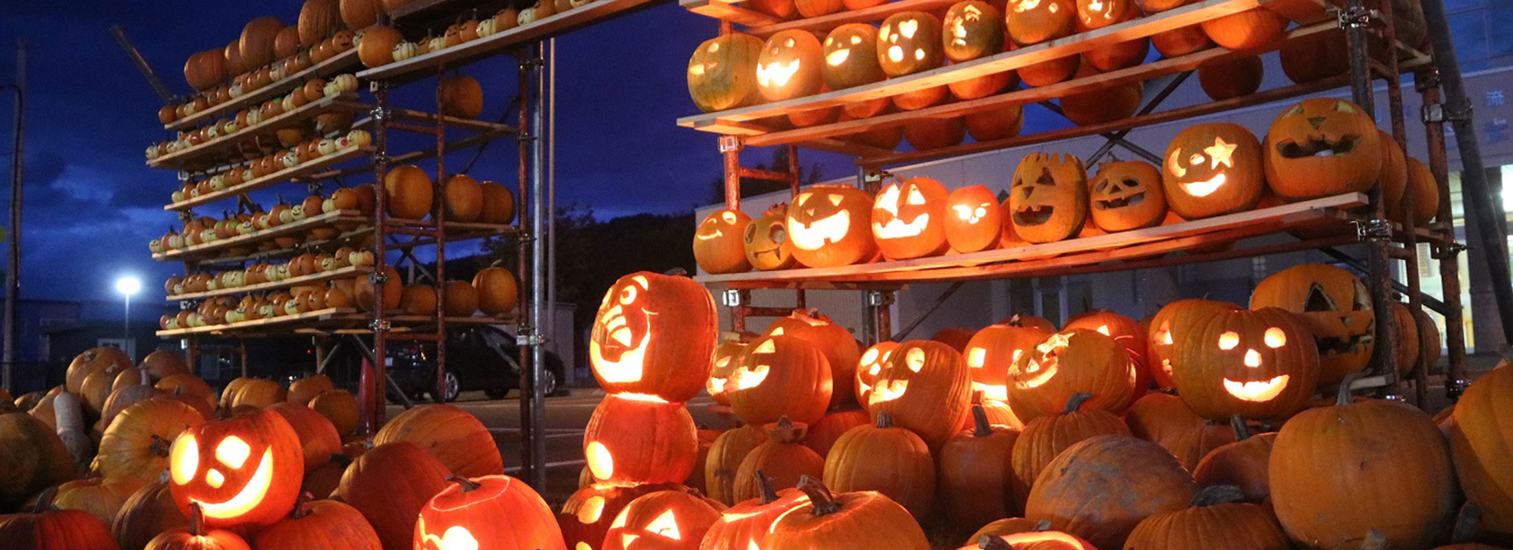 カボチャ