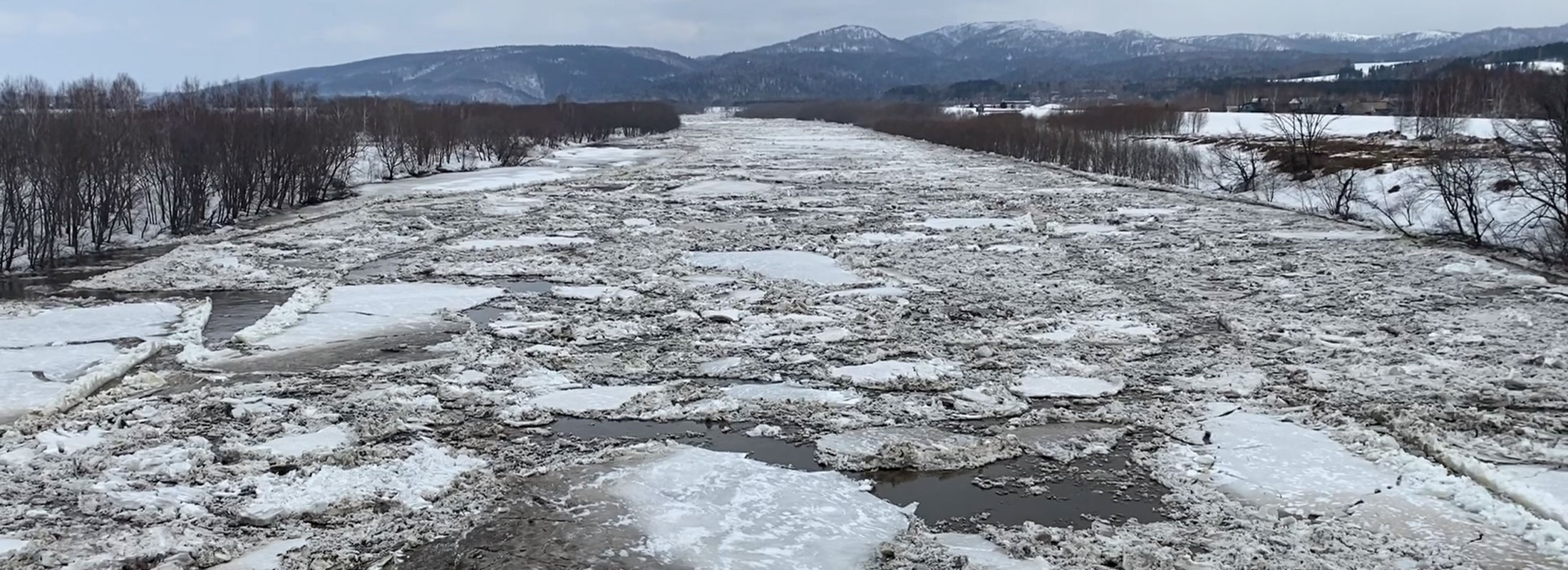 解氷