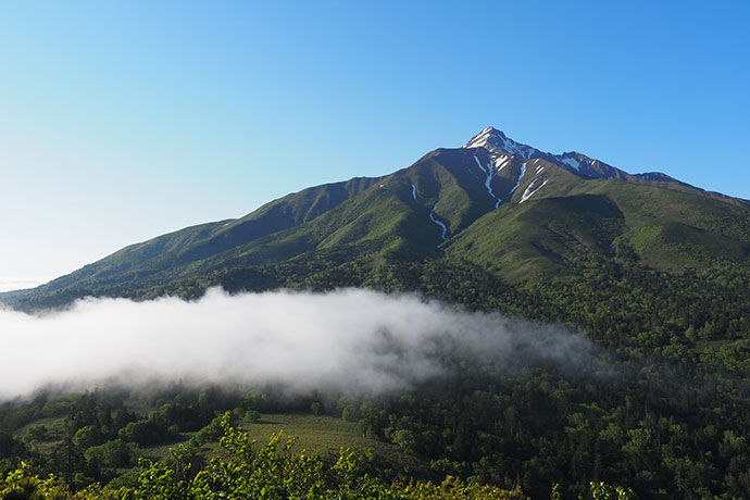 北海道利尻富士町 | 自治体詳細 | 三越伊勢丹ふるさと納税