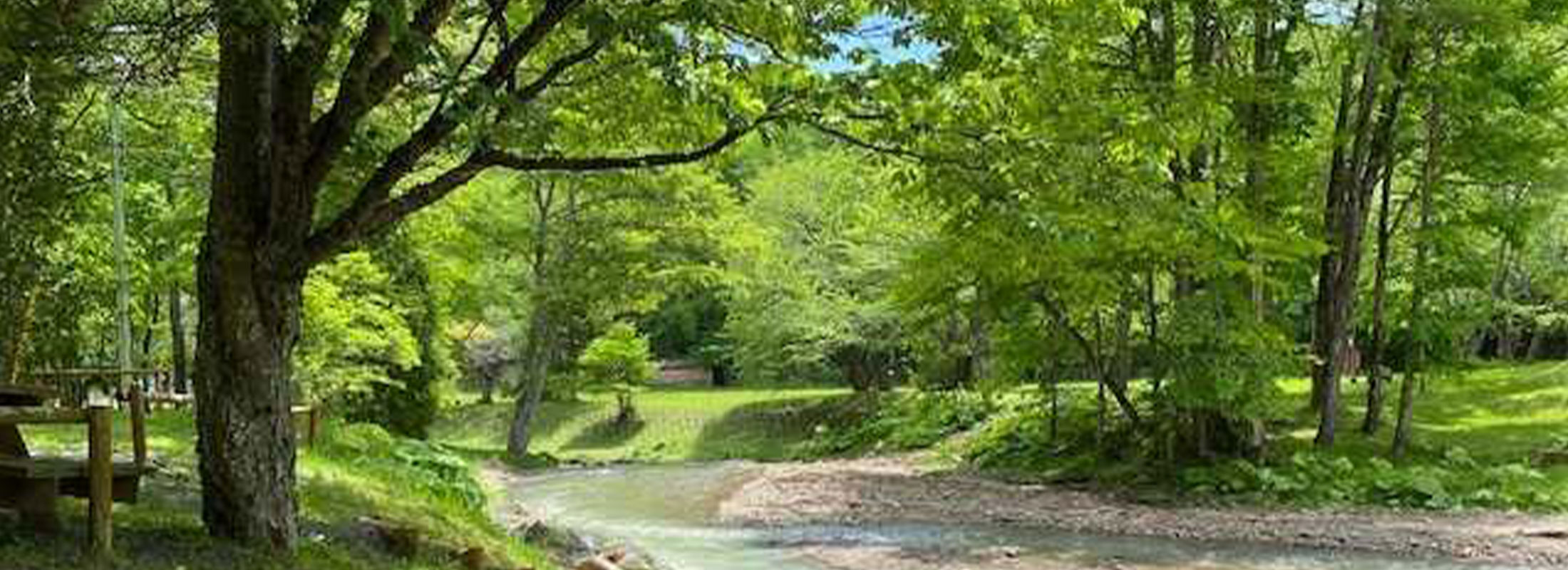 穂別キャンプ場