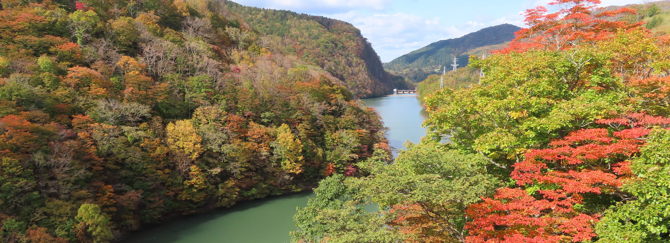 静内川