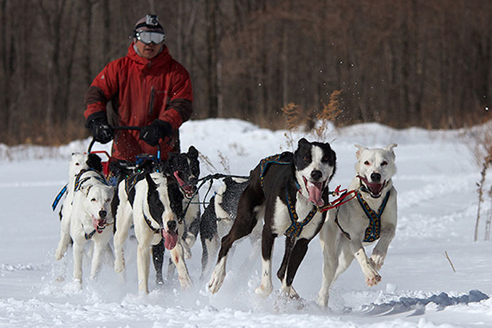 四季折々の多彩なアクティビティ