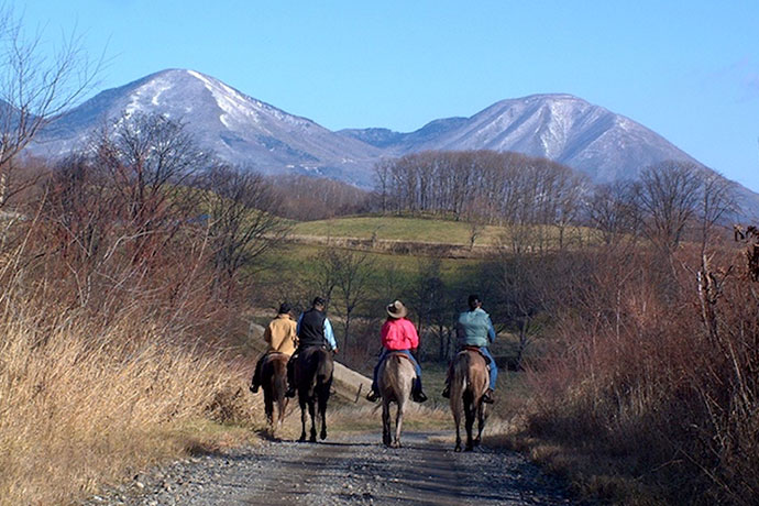 雄大な十勝平野を馬上から
