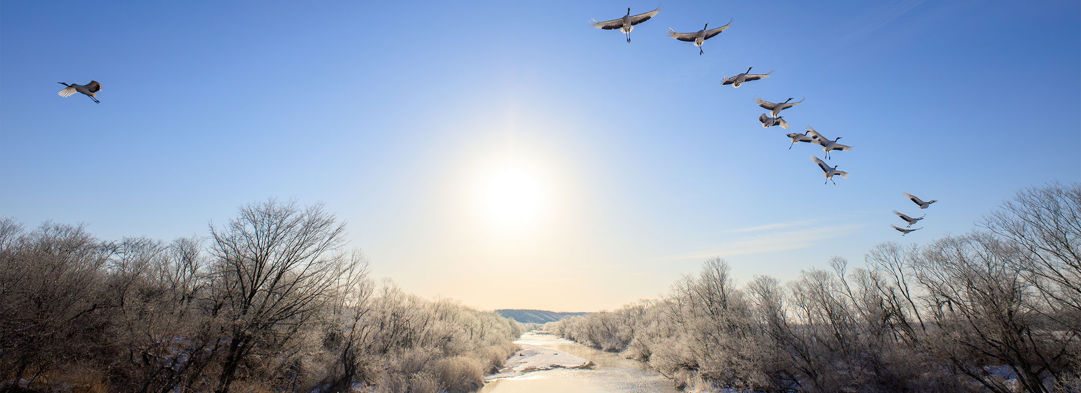 鶴居村フォトコンテスト作品(音羽橋)