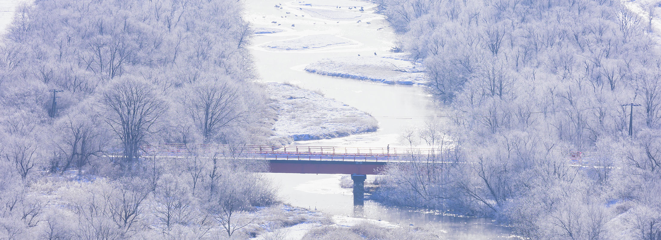 鶴居村フォトコンテスト作品(音羽橋②)