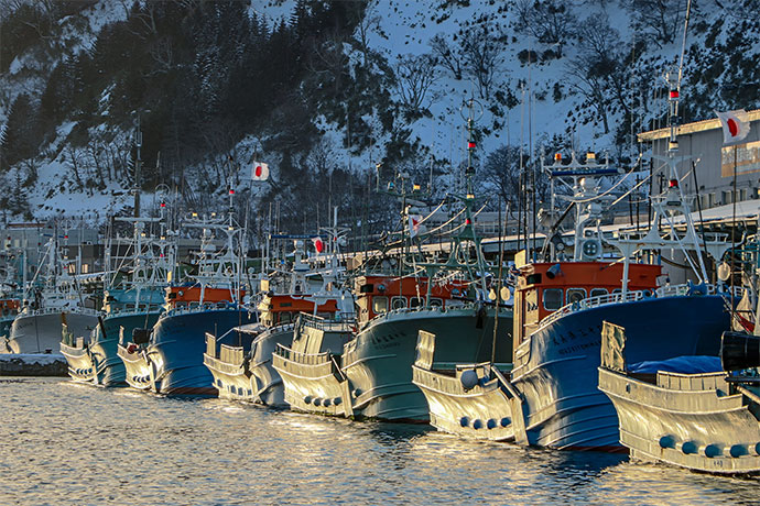 羅臼港に停泊する漁船