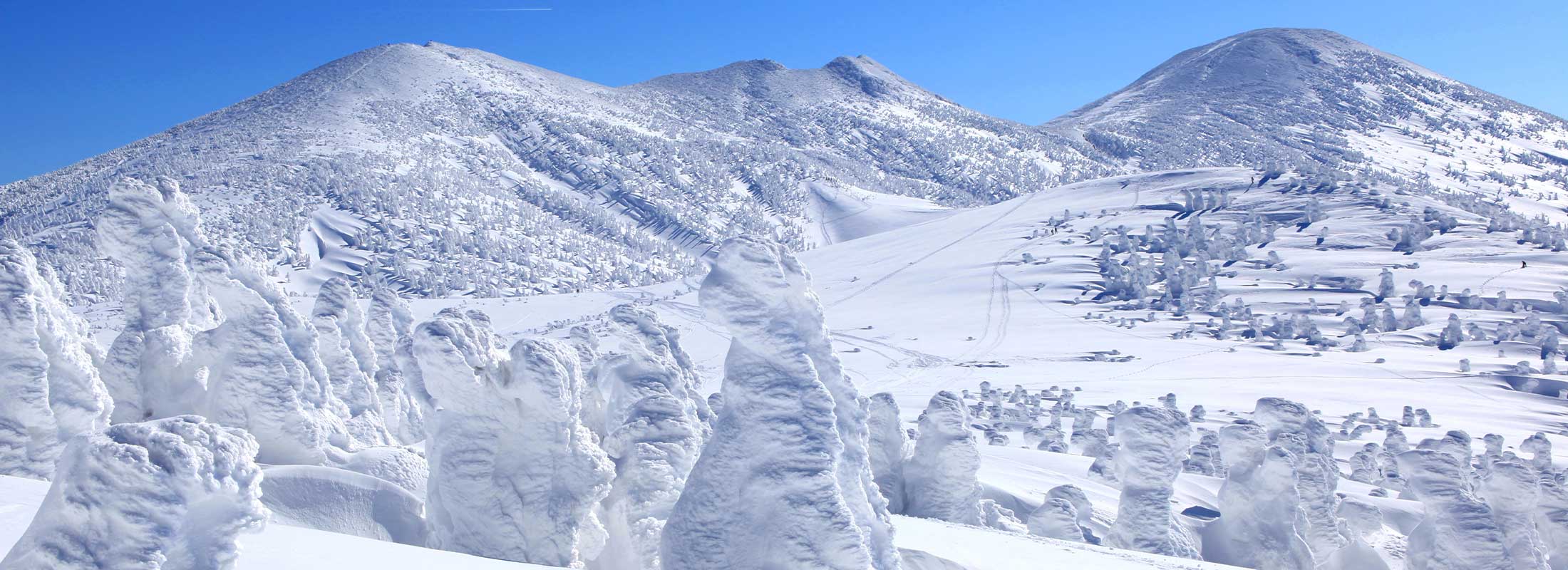 樹氷