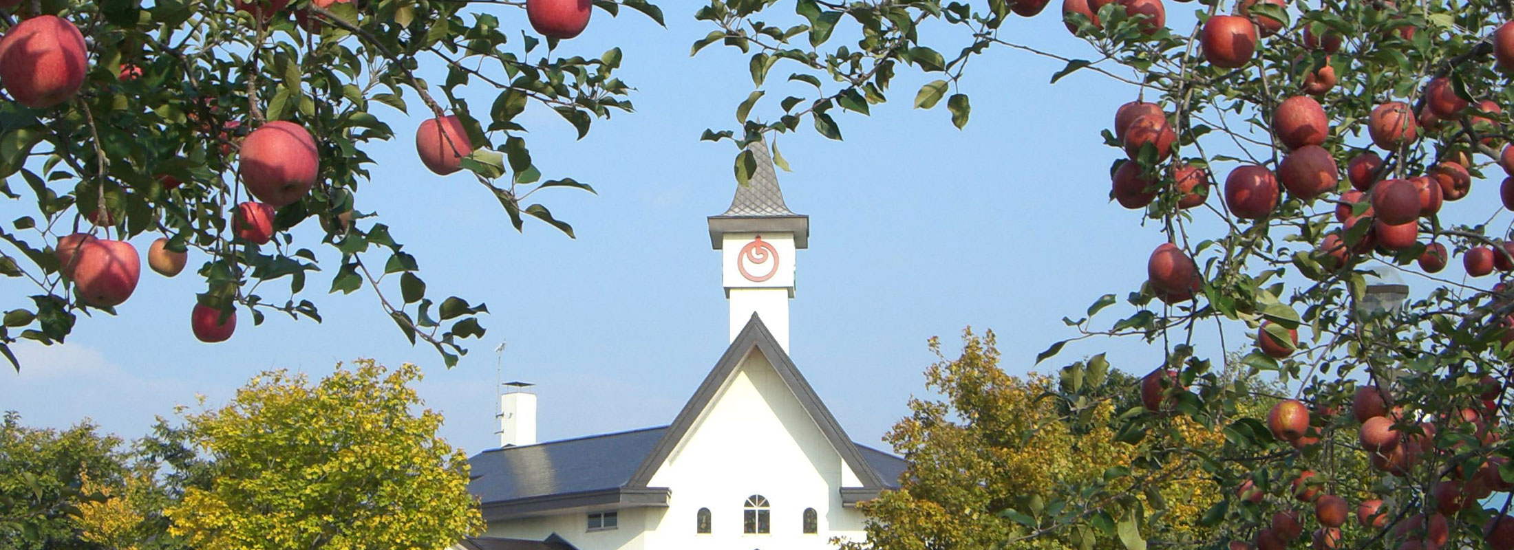 ふるさとセンター本館