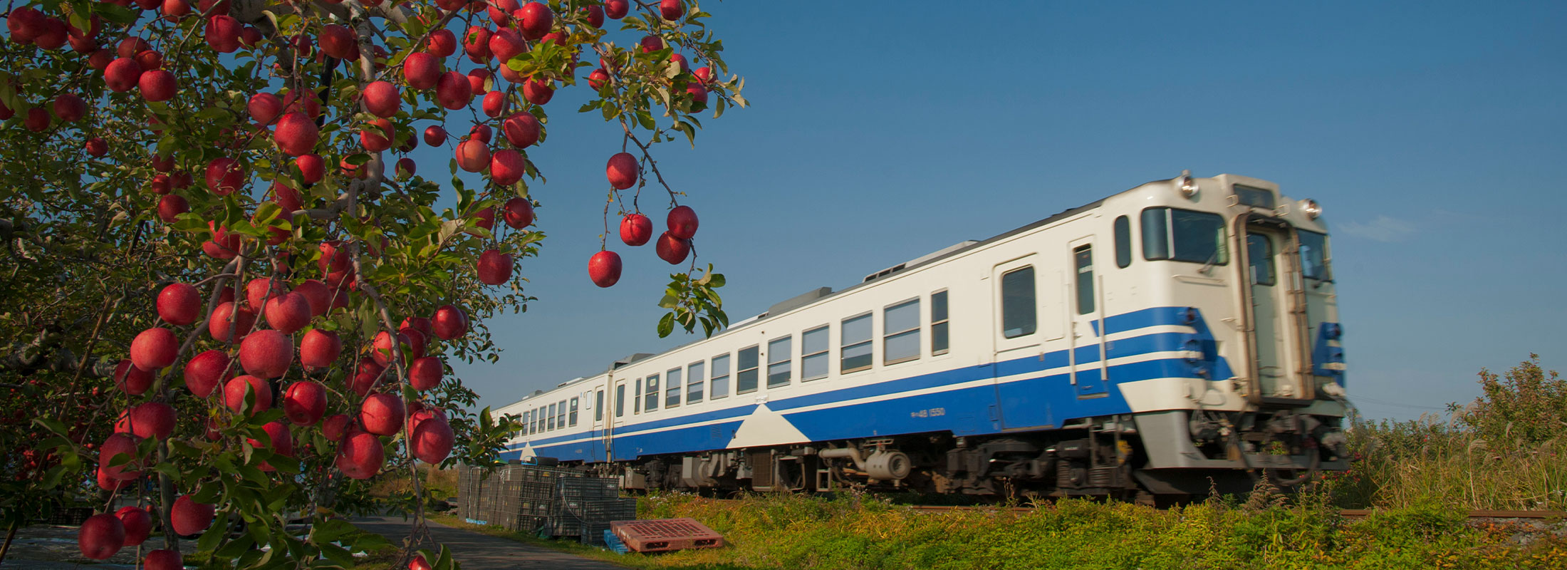 りんごと五能線