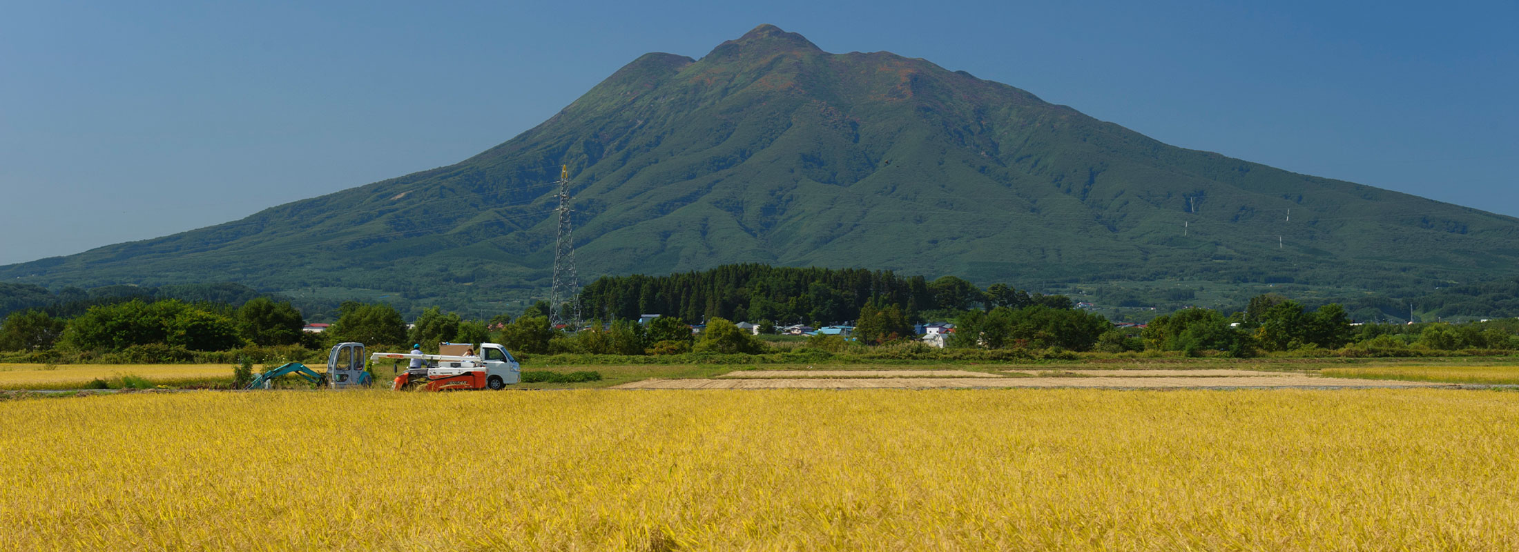 岩木山と稲刈り