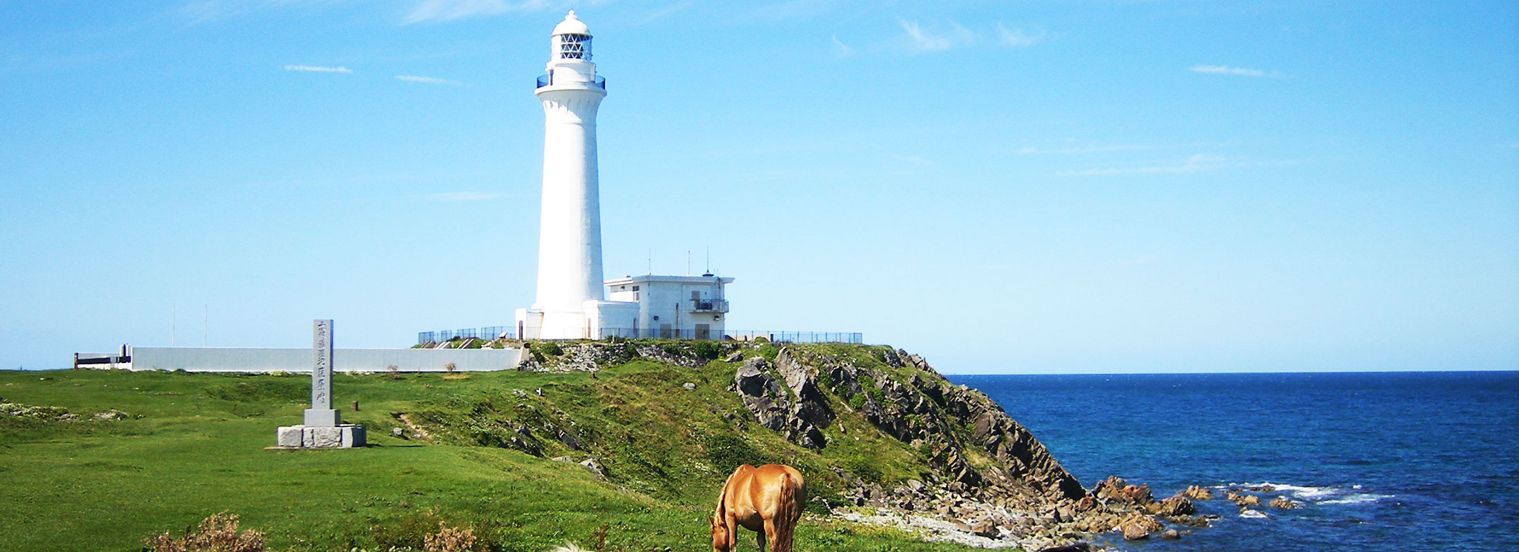 尻屋崎・寒立馬