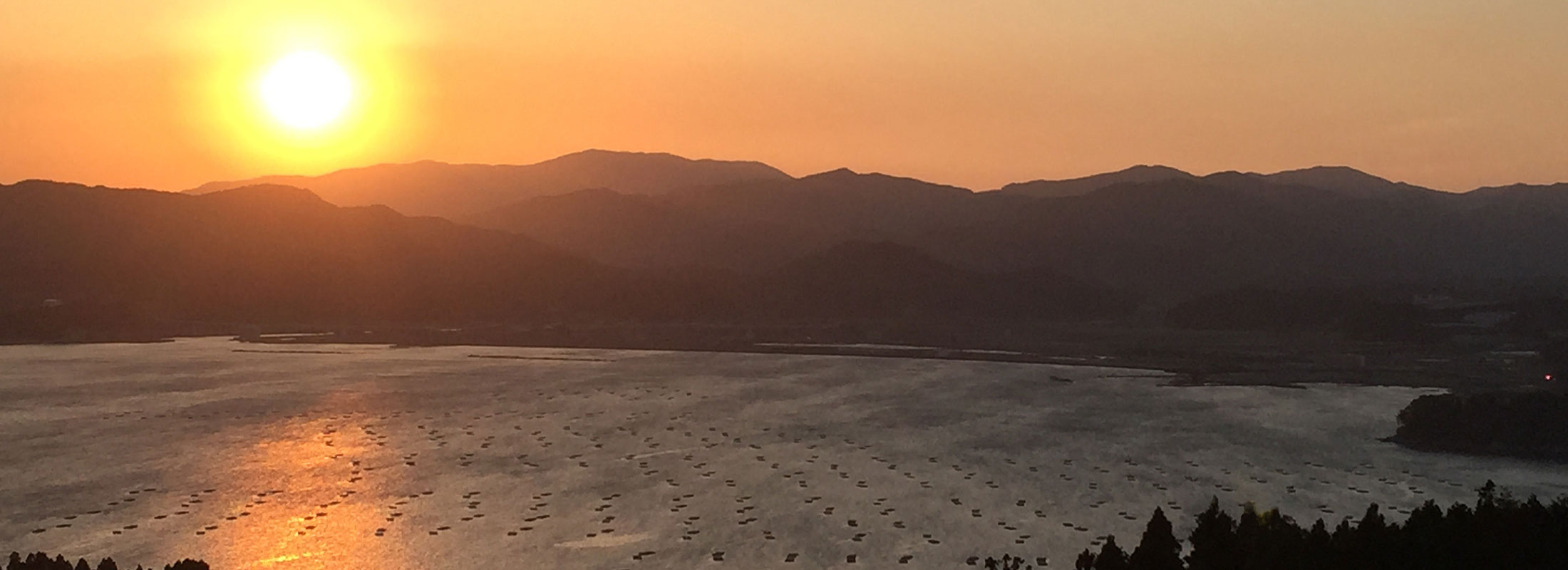 箱根山から望む広田湾
