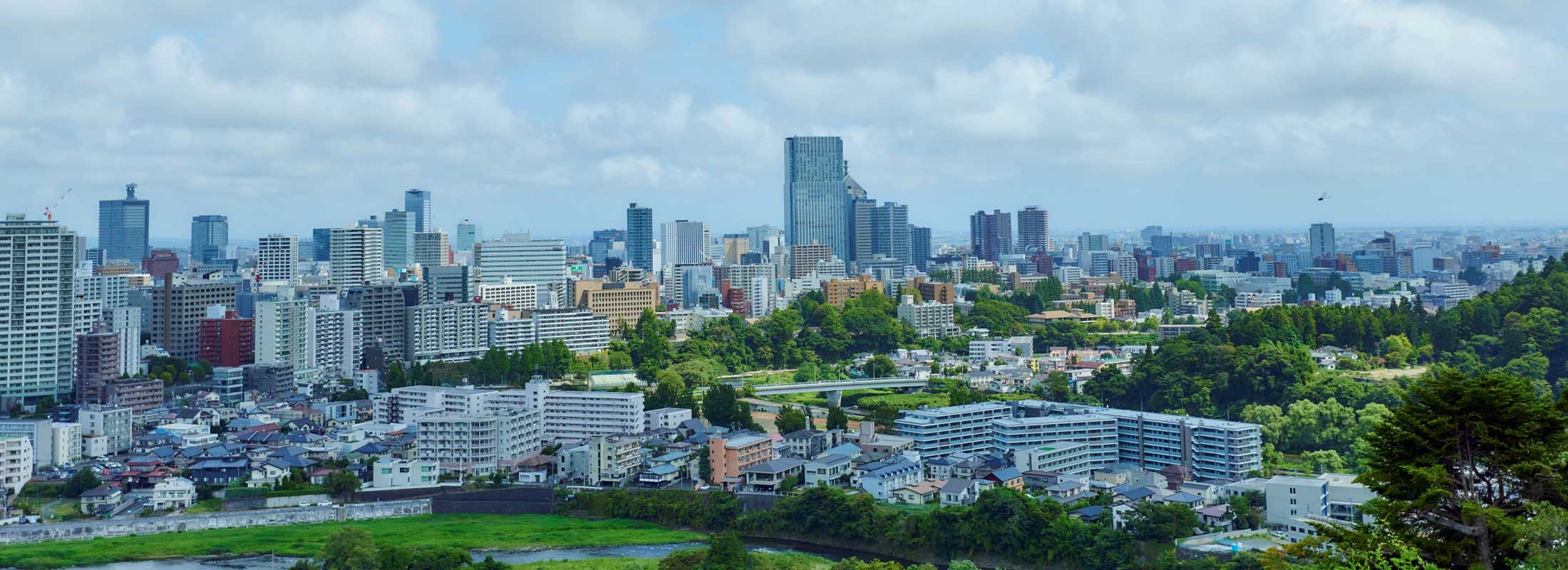 仙台全景