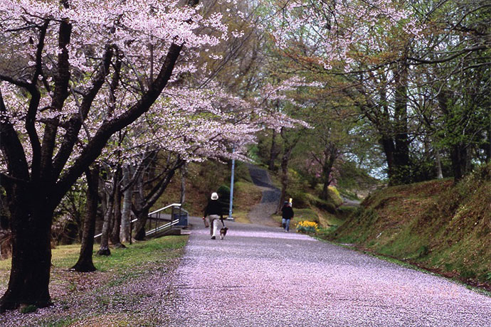 朝日山公園